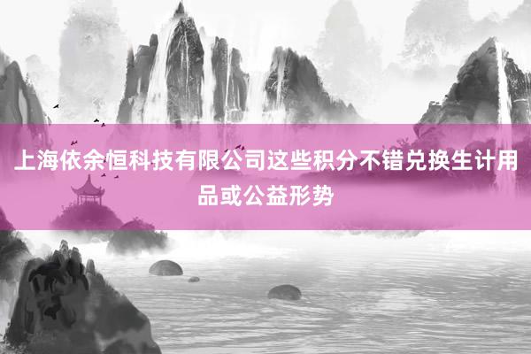上海依余恒科技有限公司这些积分不错兑换生计用品或公益形势