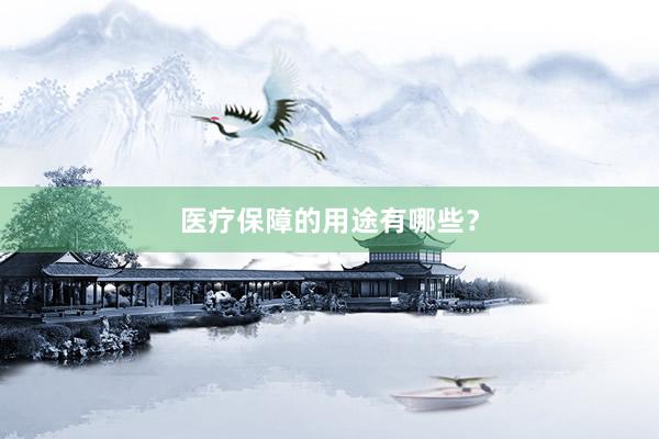 医疗保障的用途有哪些？