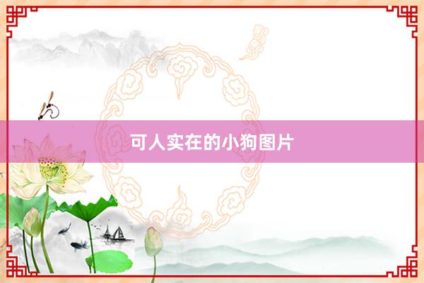 可人实在的小狗图片
